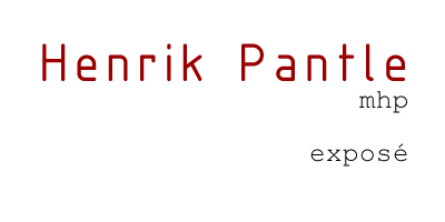 Henrik Pantle, Magisterarbeit